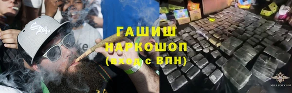 сатива Алзамай