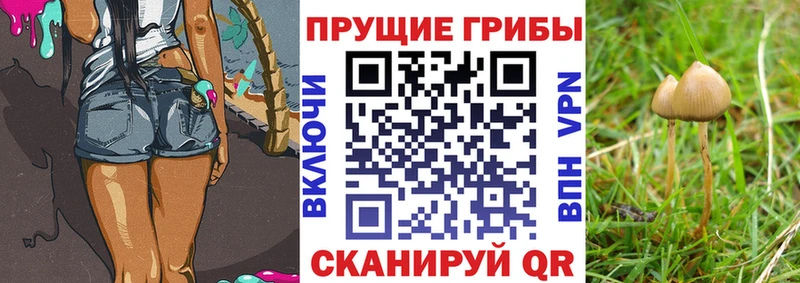 Псилоцибиновые грибы мицелий  Челябинск 
